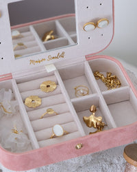 Brigitte velvet travel jewelry box - outlet